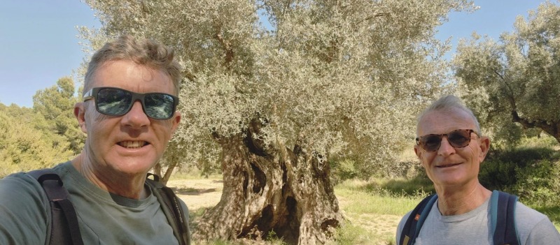 This image for Image Layouts addon