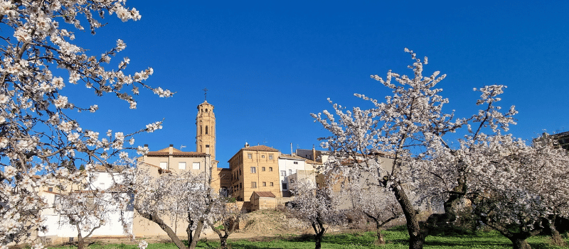 This image for Image Layouts addon